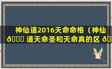 神仙道2016天命命格（神仙 🍀 道天命圣和天命真的区 🌳 别）